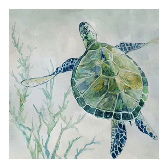 Turtle Canvas Painting - Habistash